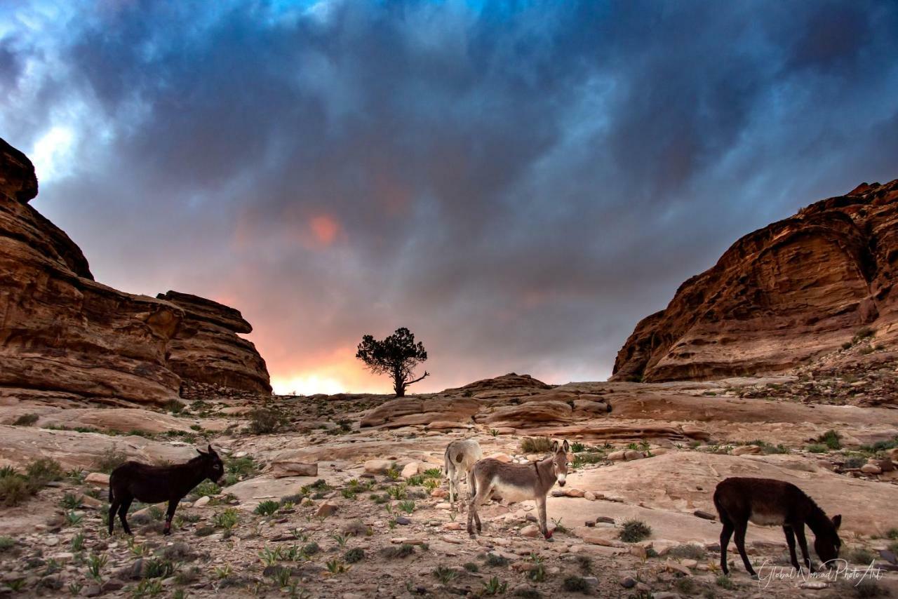 Bed and Breakfast Bedouin Pink Ecohouse Wadi Musa Exterior foto