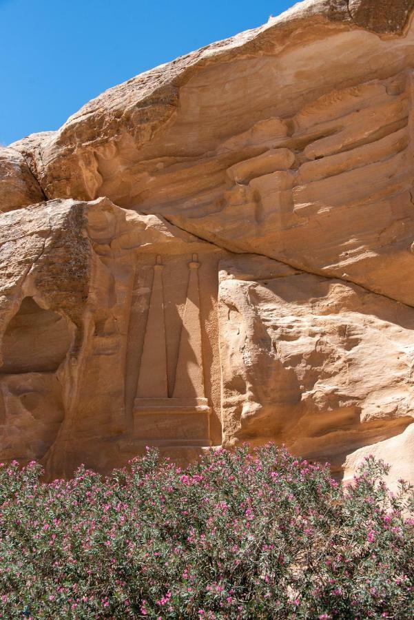 Bed and Breakfast Bedouin Pink Ecohouse Wadi Musa Exterior foto